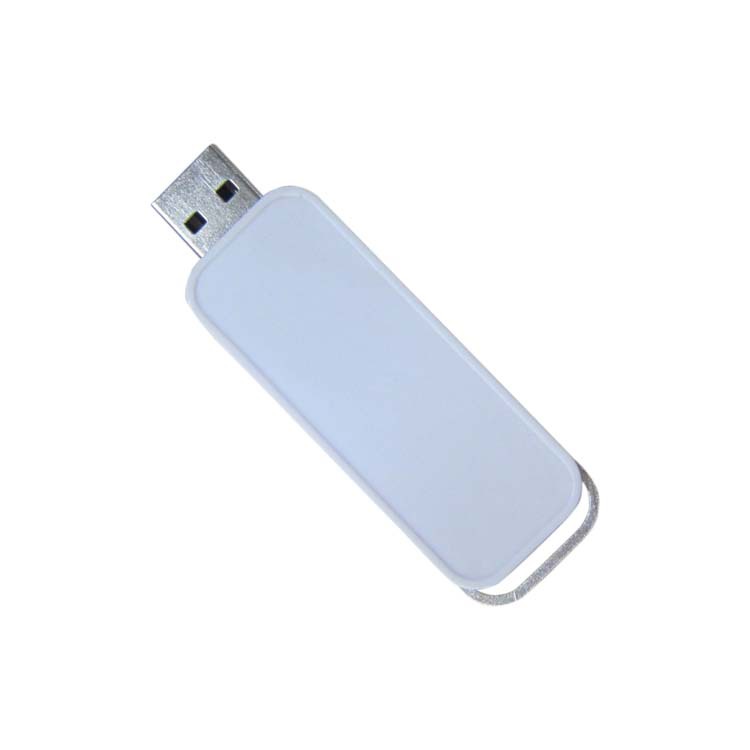 Custom Promotional Plastic Case USB Flash Drive