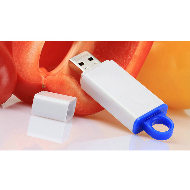 Custom Promotional Plastic Case USB Flash Drive