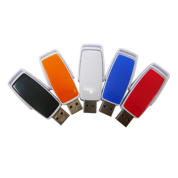 Custom Promotional Plastic Case USB Flash Drive