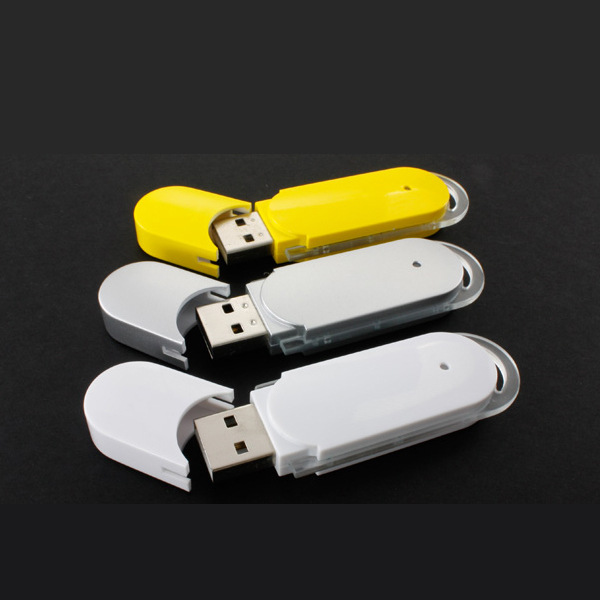 Custom Promotional Plastic Case USB Flash Drive